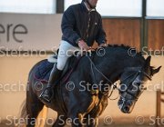 CAletto della Verdina TosTour2013- S5 3151 : Arezzo, Arezzo Equestrian Centre, Caletto della Verdina, Cavalli d'Italia, Toscana Tour 2013, foto di Stefano Secchi ©